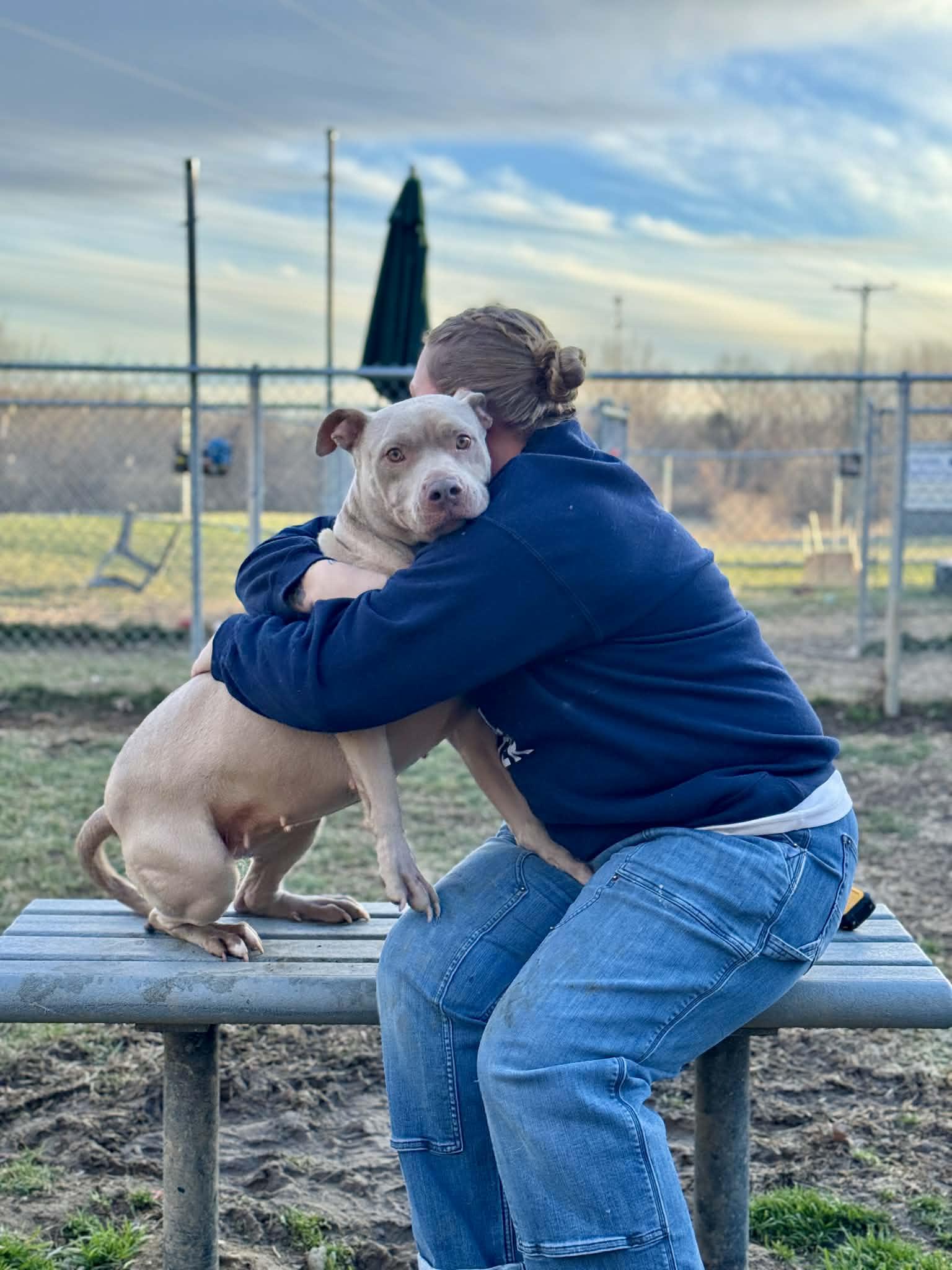 Rumi, a ADOPTABLE Mixed Breed in Benton Harbor, MI image 5/6