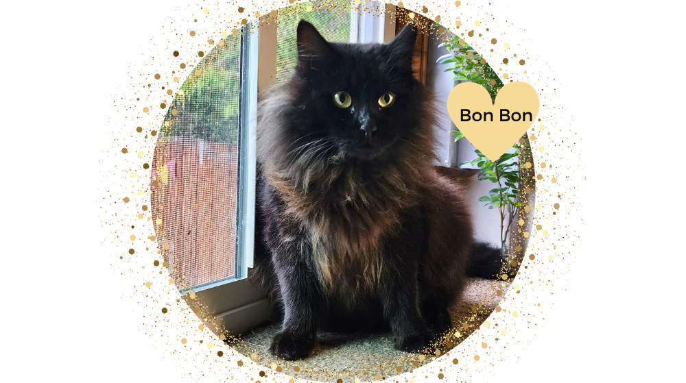 BonBon