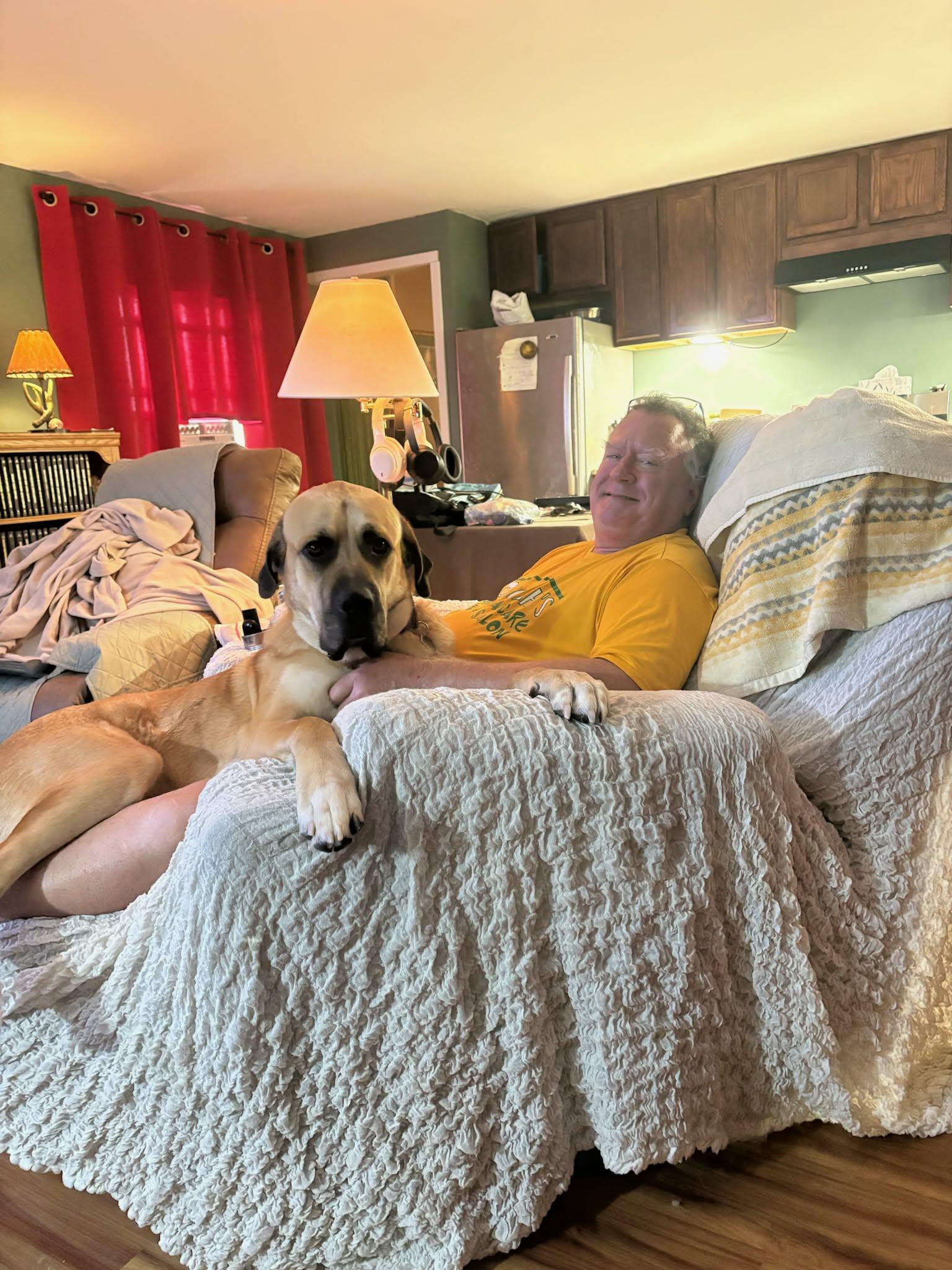 Enlarge Diesel, a Adoptable mixed breed in Crystal, MN image 2/3