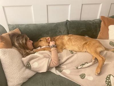 Enlarge Chorizo, an adopted mixed breed in Palmyra, VA image 1/5