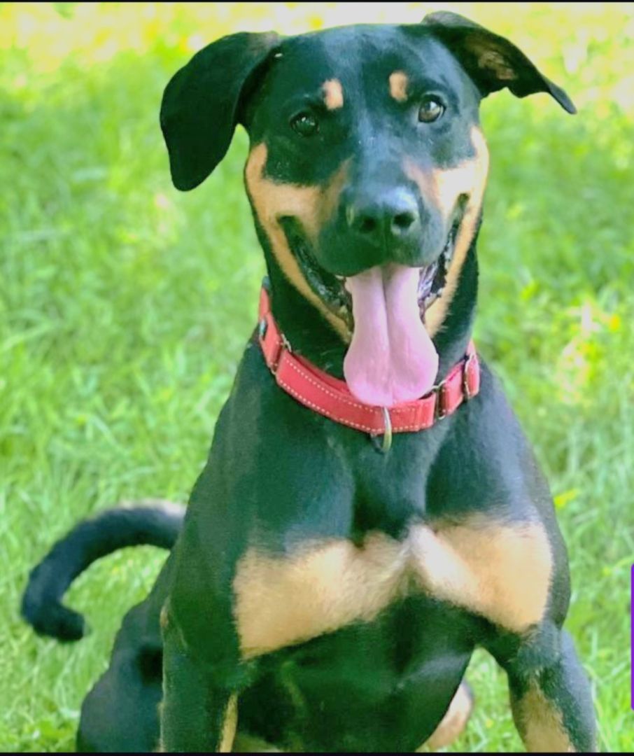 ZOEY photo 1