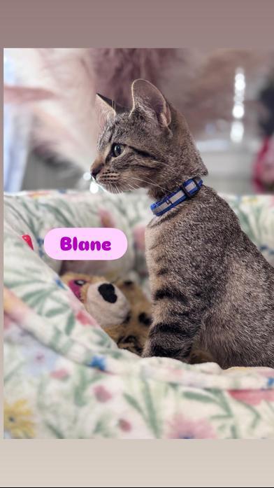 Blane