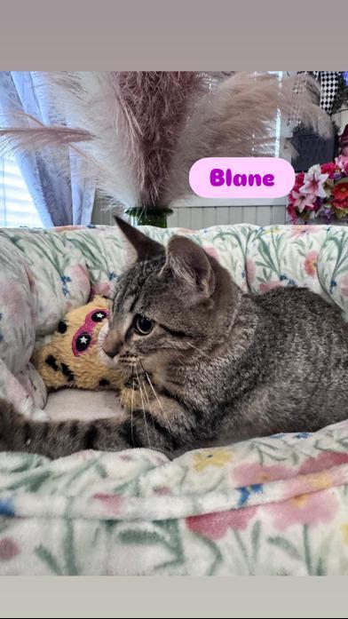 Blane