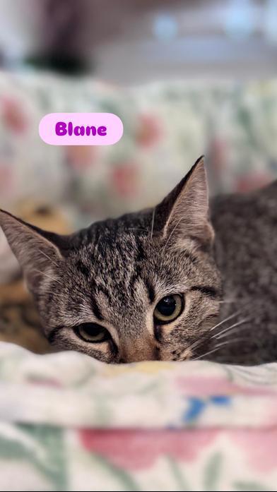 Blane