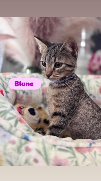 Blane