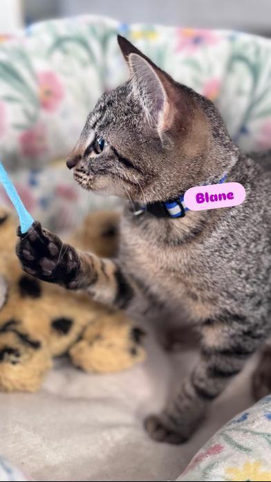Blane
