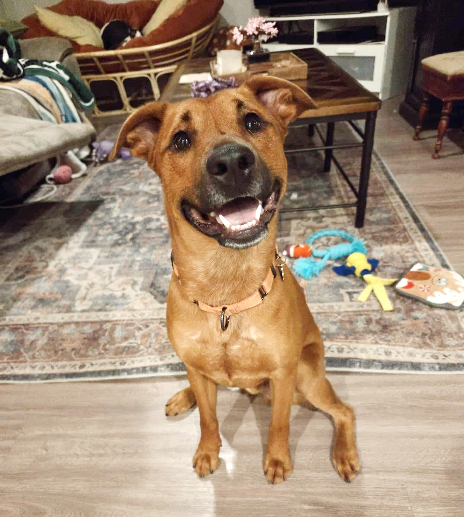 Oakley