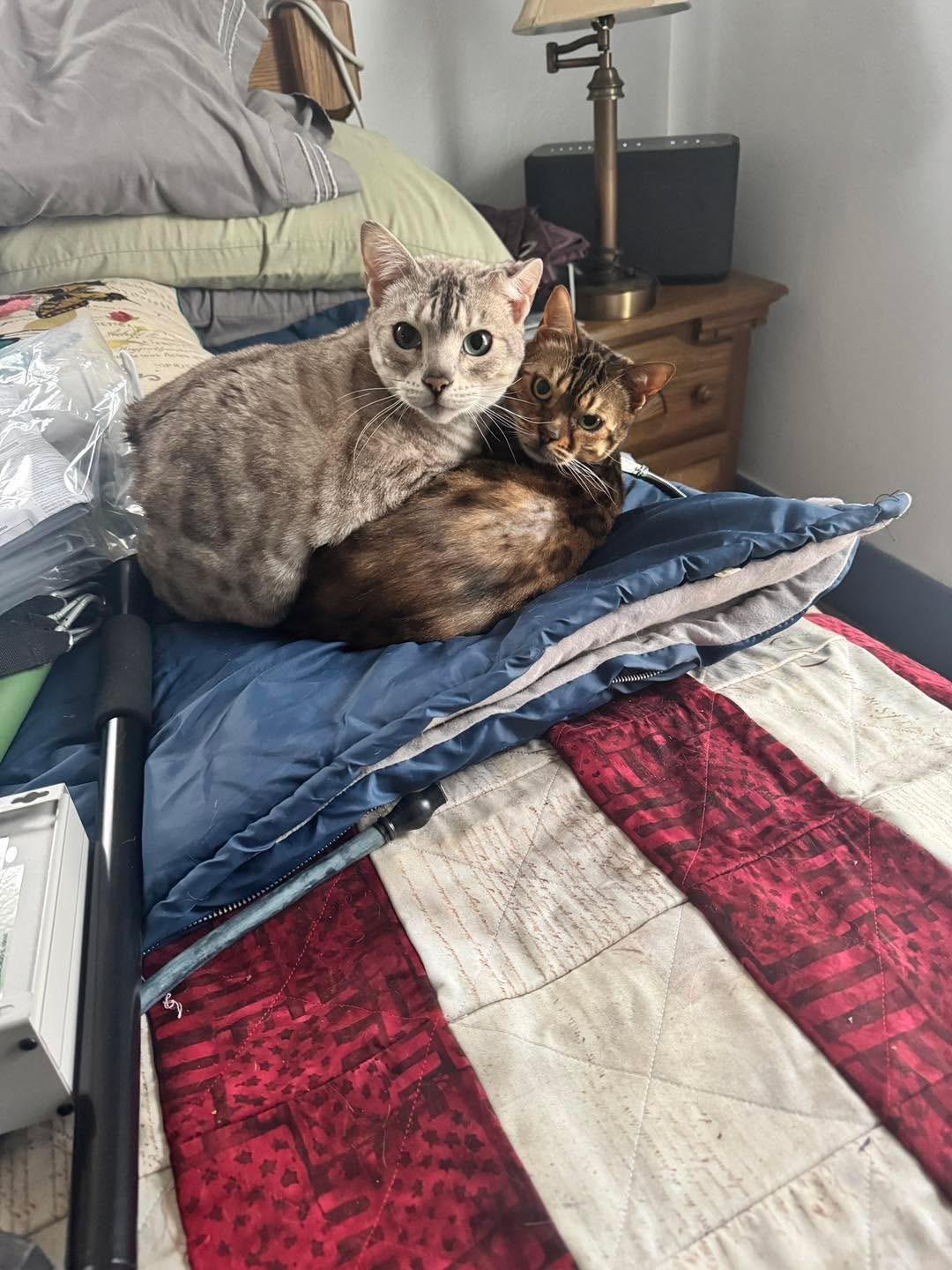 Mida & Mooki