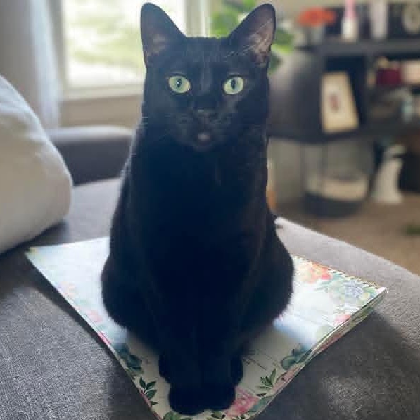 Espresso *Beautiful Eyes*