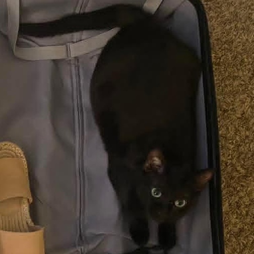 Espresso *Beautiful Eyes*