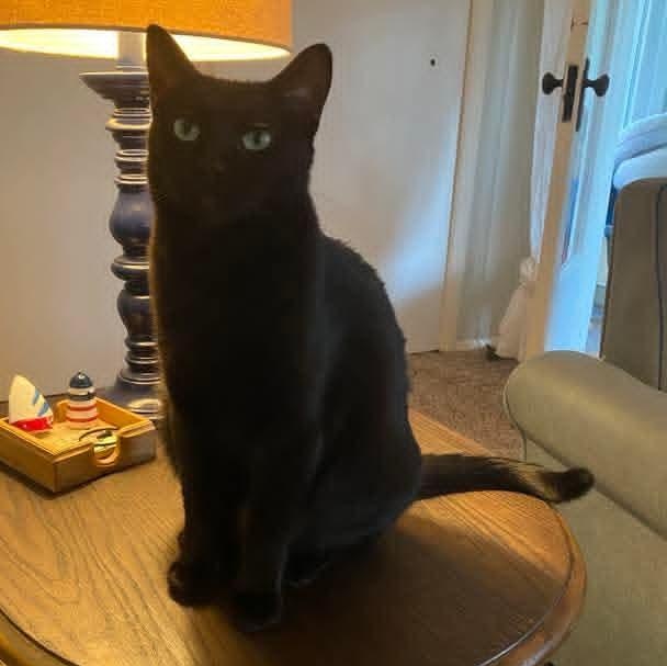 Espresso *Beautiful Eyes*