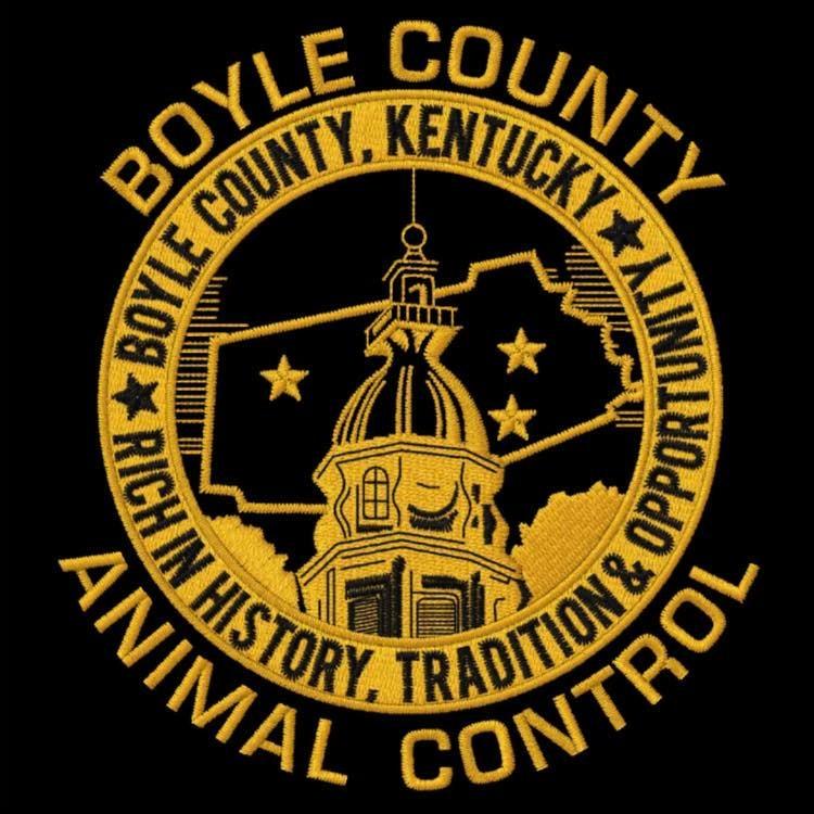 Enlarge Rumpke, a Adoptable Mixed Breed in Danville, KY image 4/4