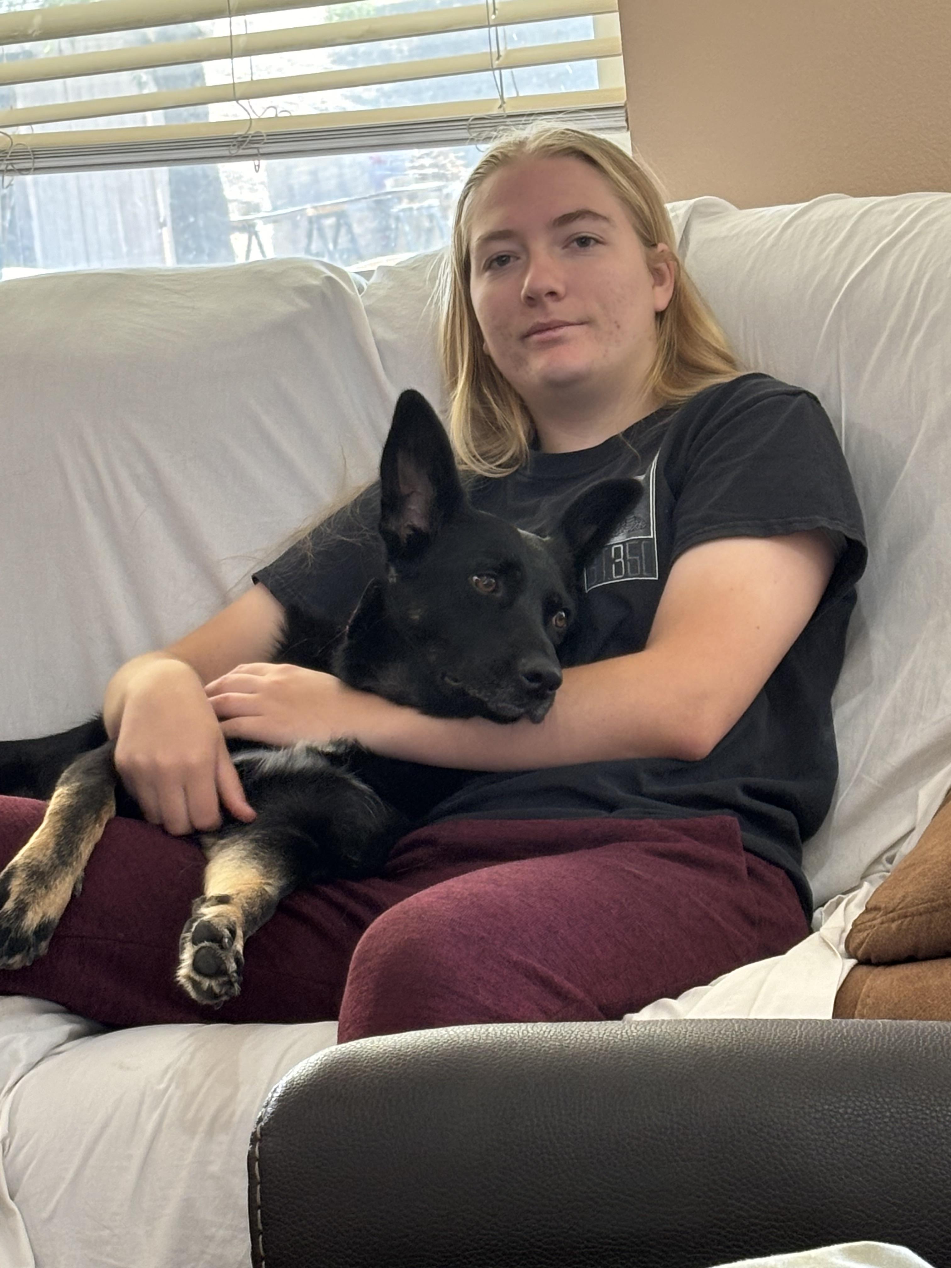 Sadie, a Adoptable mixed breed in Agua Dulce, CA image 2/5