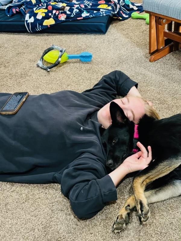 Sadie, a Adoptable mixed breed in Agua Dulce, CA image 3/5