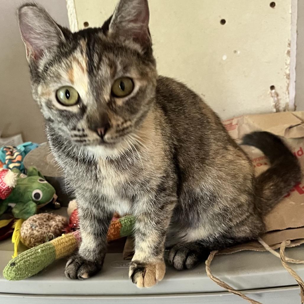 Felicity thumbnail 5