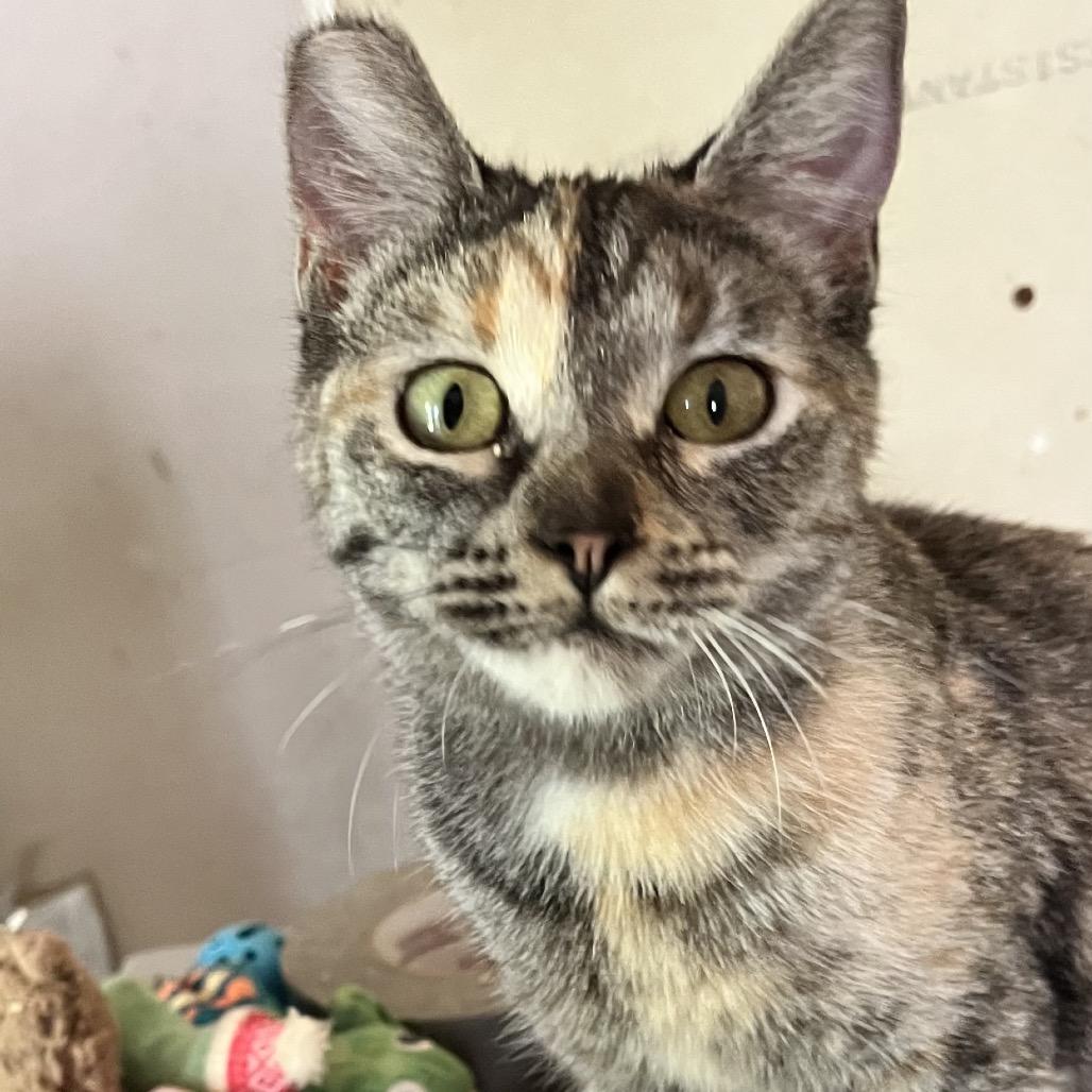 Felicity thumbnail 6