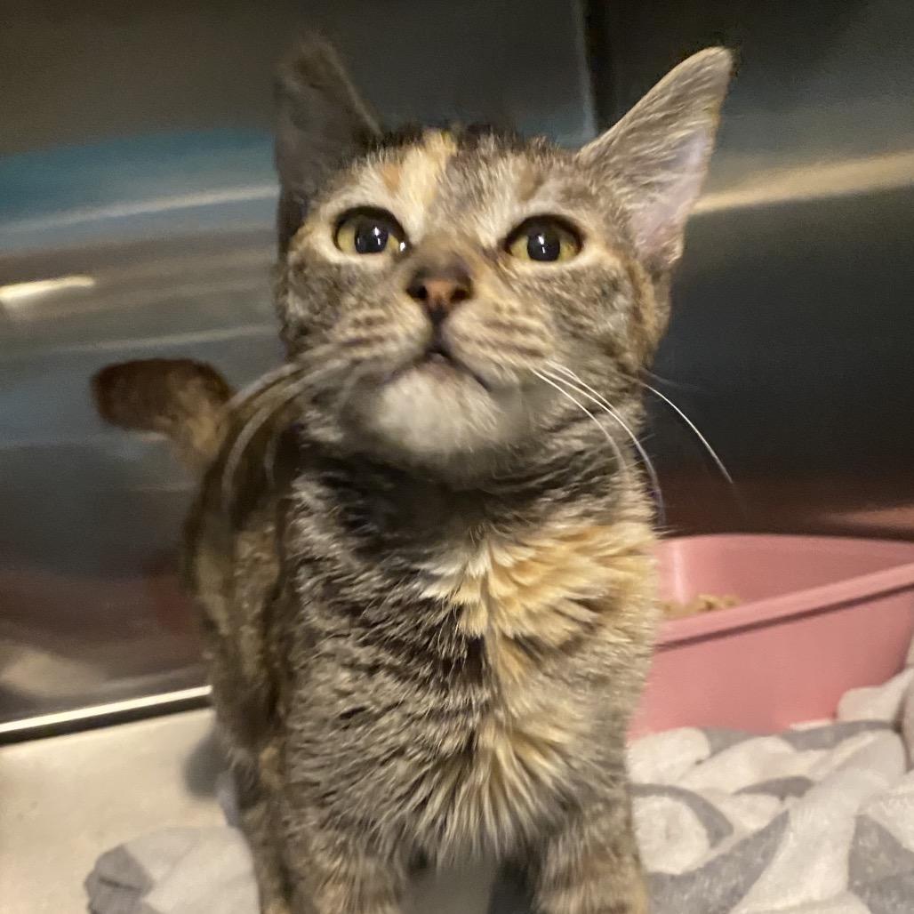 Felicity thumbnail 7