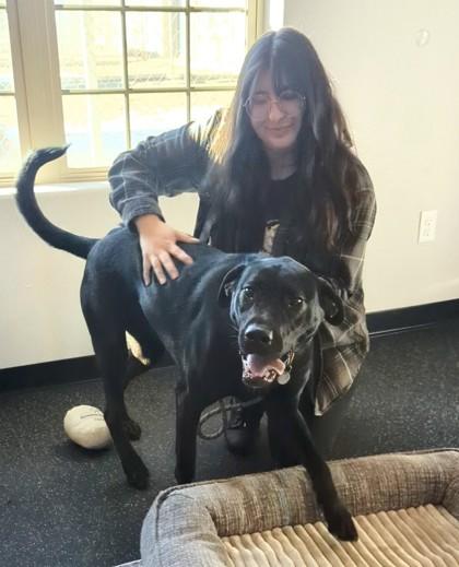 Pepper, a Adoptable mixed breed in Portola, CA image 3/3