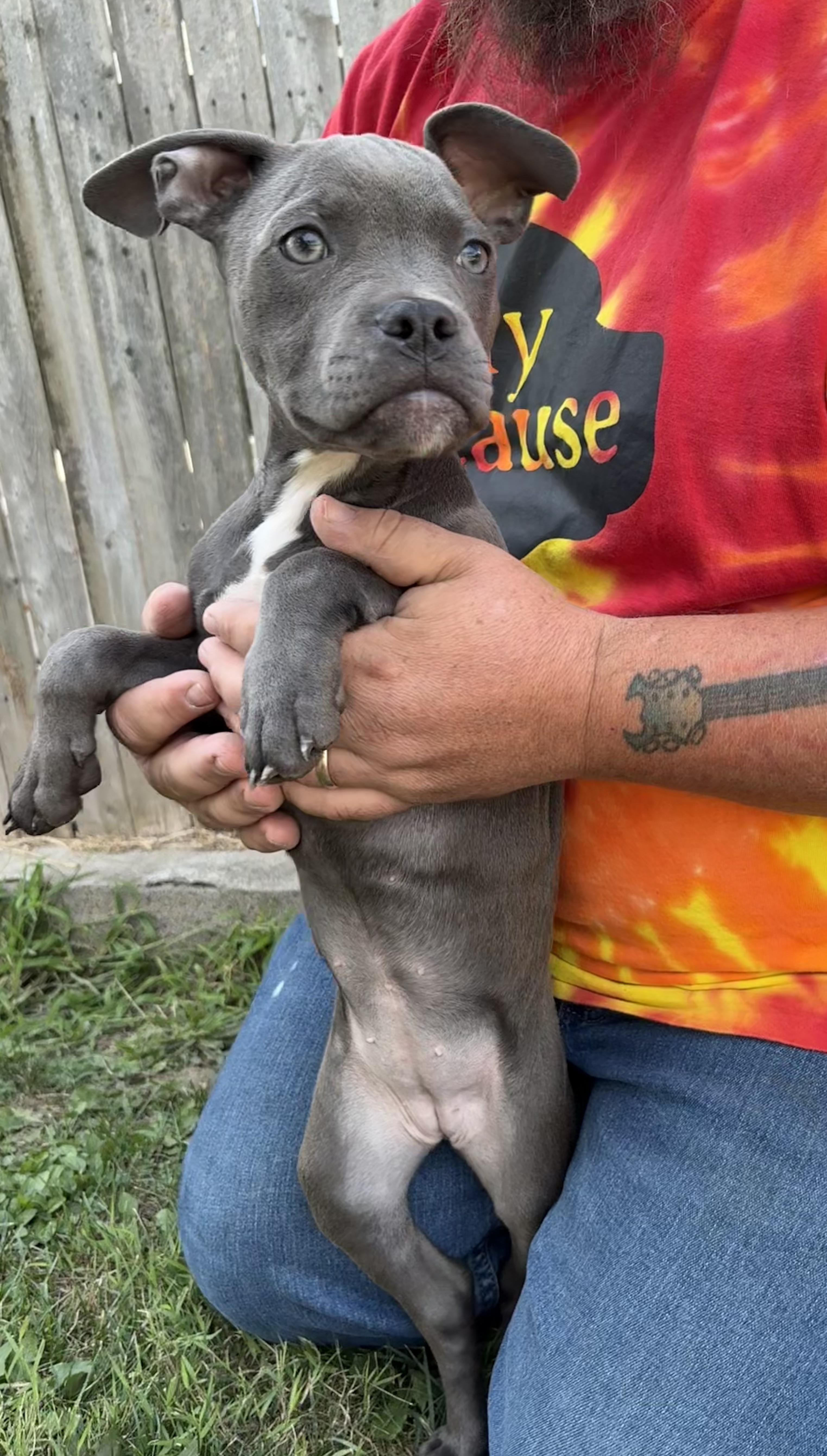 KALA. tinycauseadopt@gmail.com