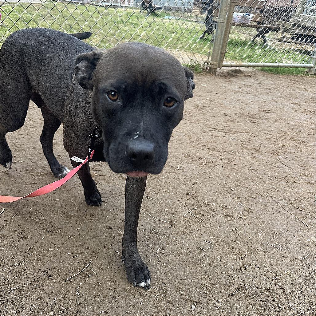 Destiny — thumbnail 2