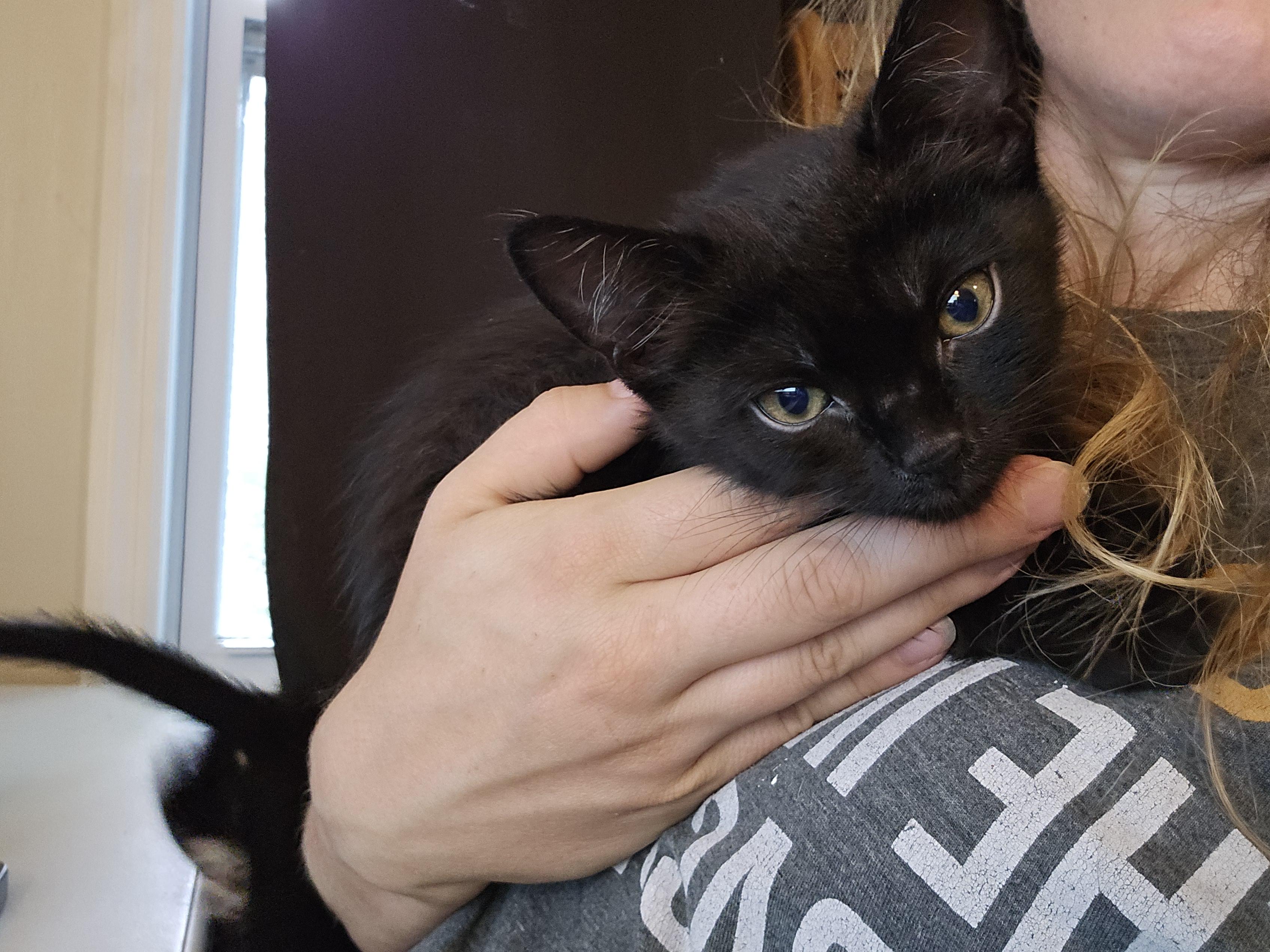 Miso