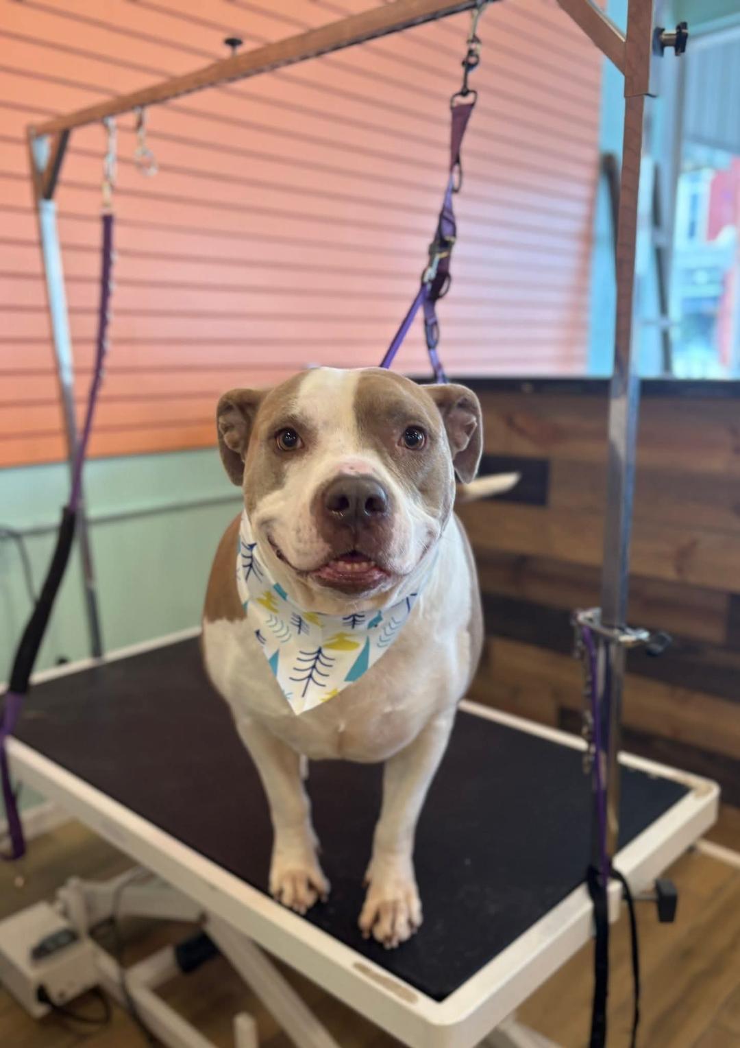 Ester — thumbnail 2