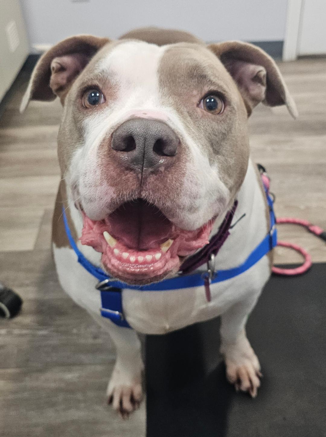 Ester — thumbnail 3