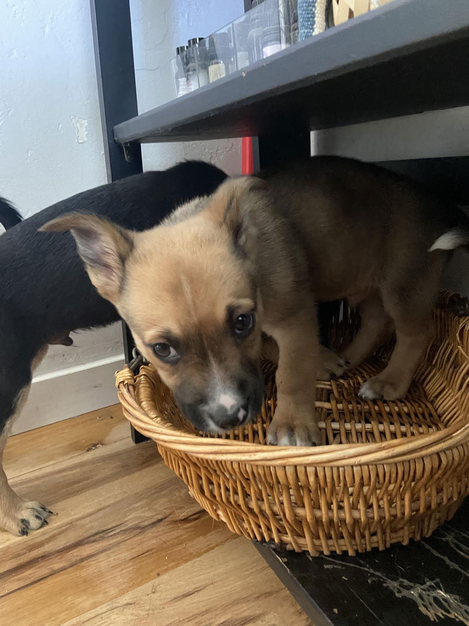 O' Ryan — thumbnail 2