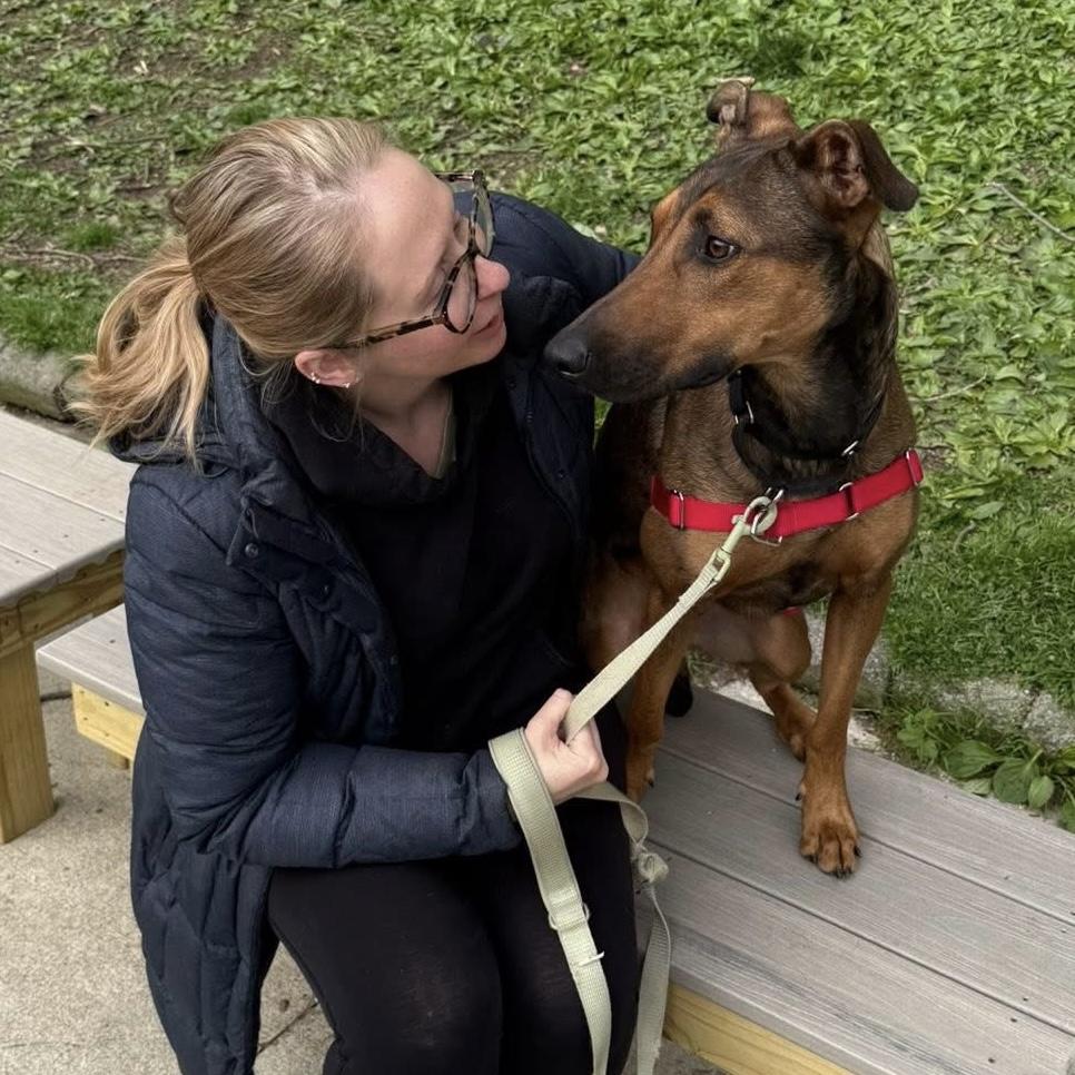 Cider, a ADOPTABLE mixed breed in Beacon, NY image 3/6