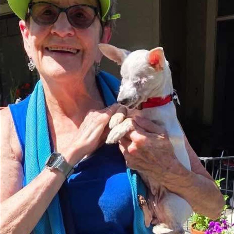 Lilly, a Adoptable mixed breed in Saint Helens, OR image 2/6