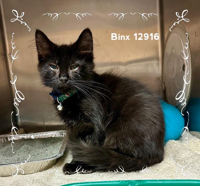 BINX