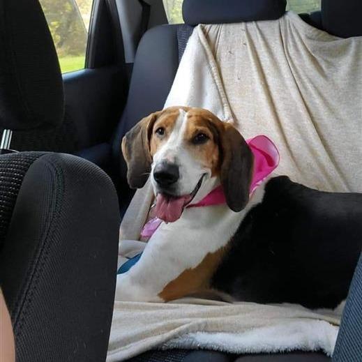 Beatrice — thumbnail 2