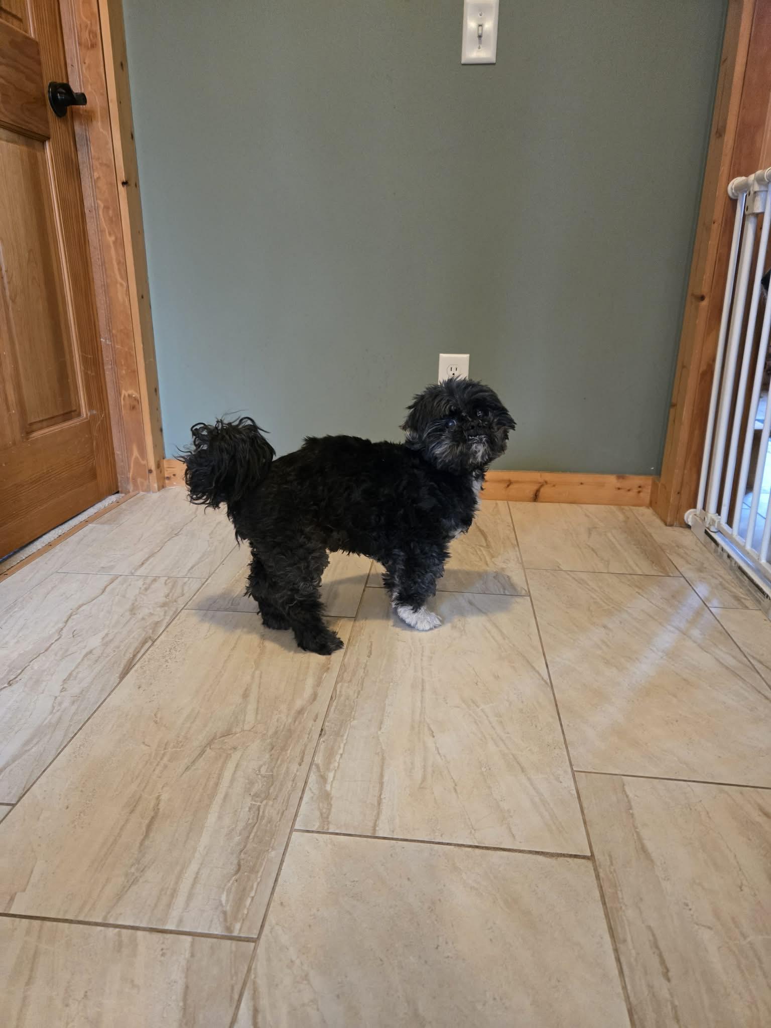 Julius Caesar — thumbnail 2