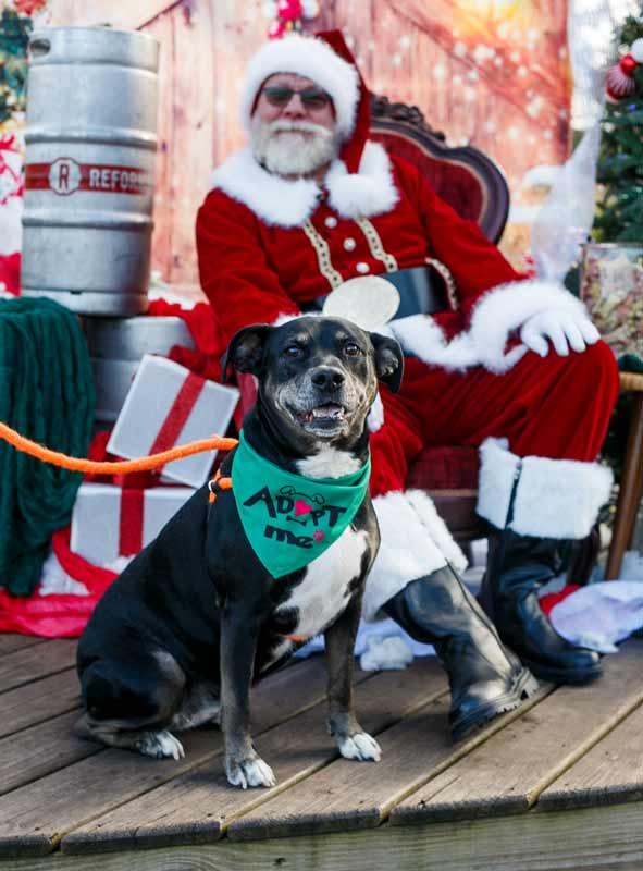 Yasmeen — thumbnail 3