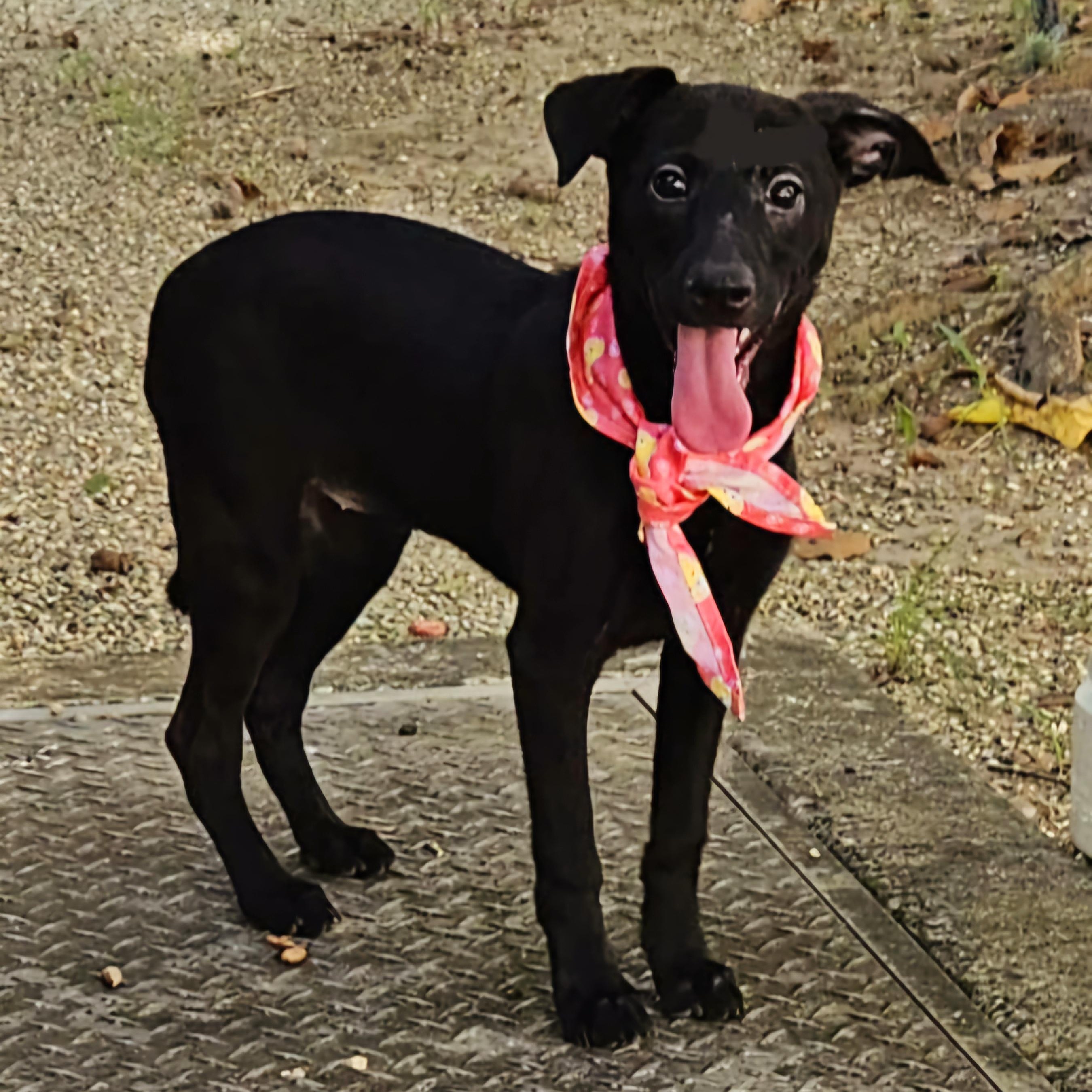 Athena "let's Watch T.v.