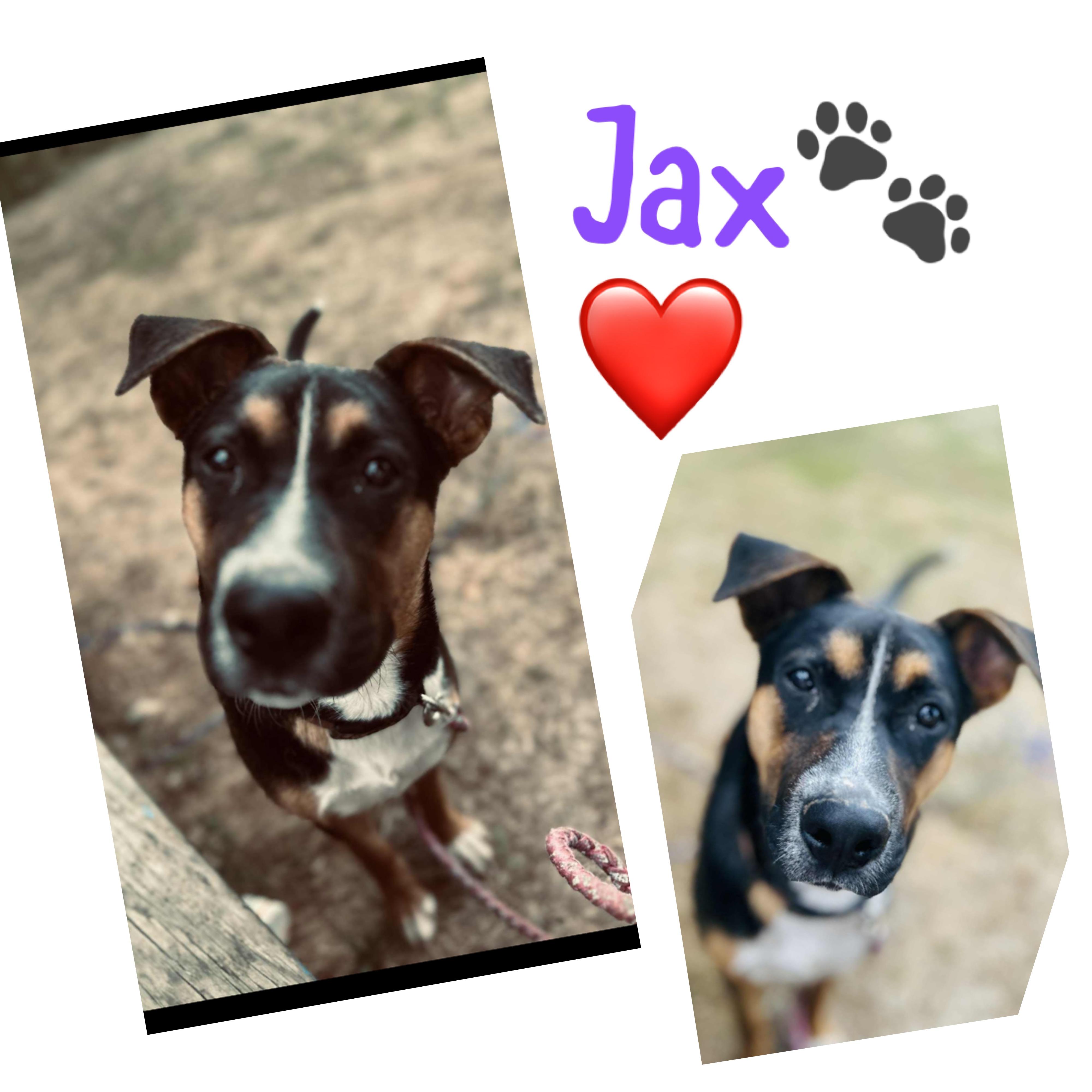 Jax