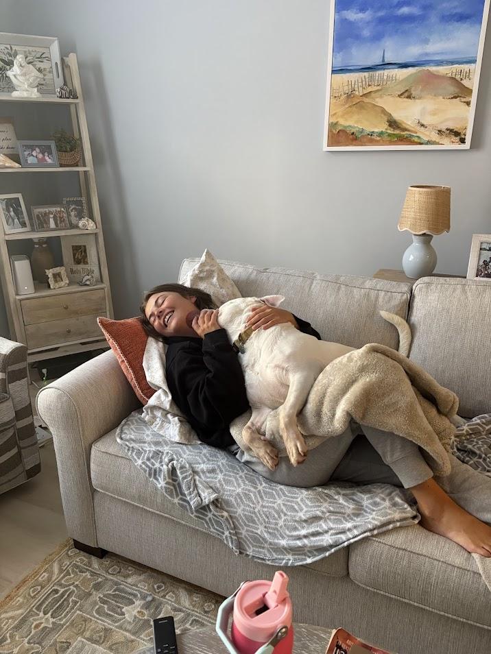 Enlarge Lucky, a Adoptable mixed breed in North Charleston, SC image 4/6