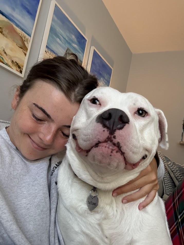 Lucky, Adoptable, Adult Male Mixed Breed.