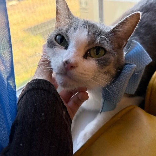 Bean Sprout — thumbnail 5