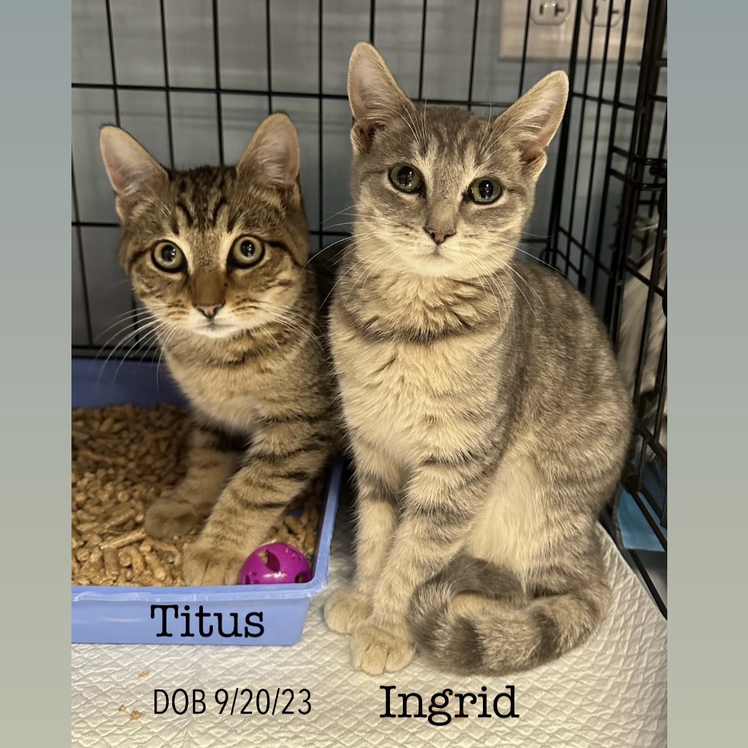 Titus photo 4