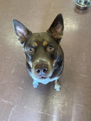 Sonny — thumbnail 4