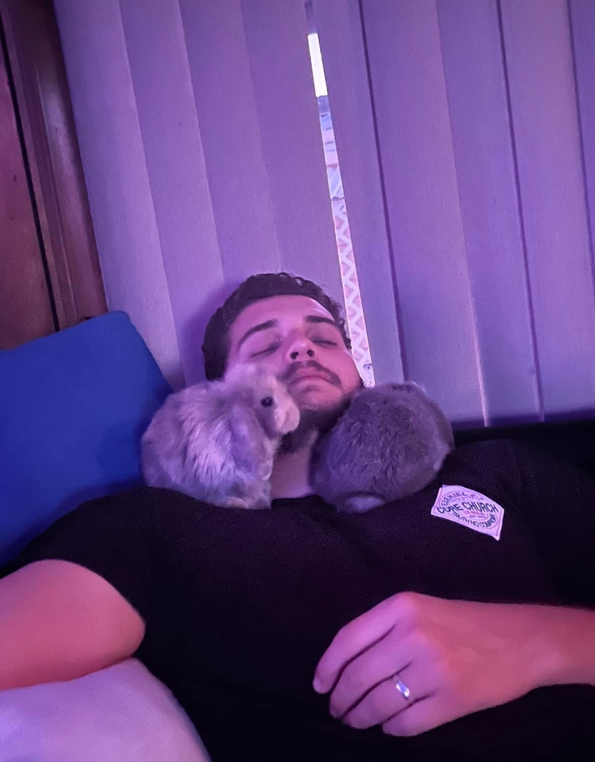 Enlarge Cinnabon and BunBun, a Adoptable Holland Lop in Los Angeles, CA image 4/6