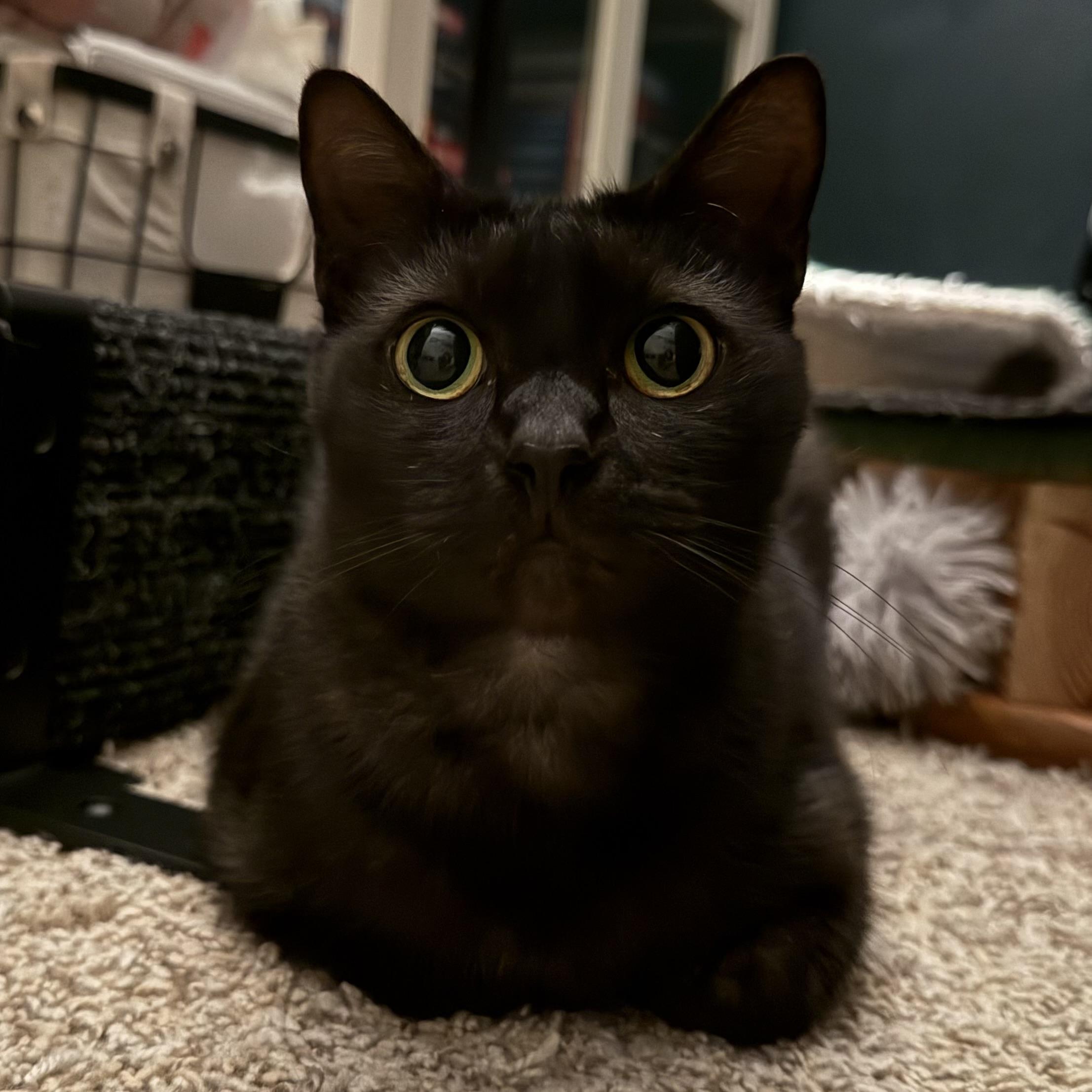 Kat *so much love to give*