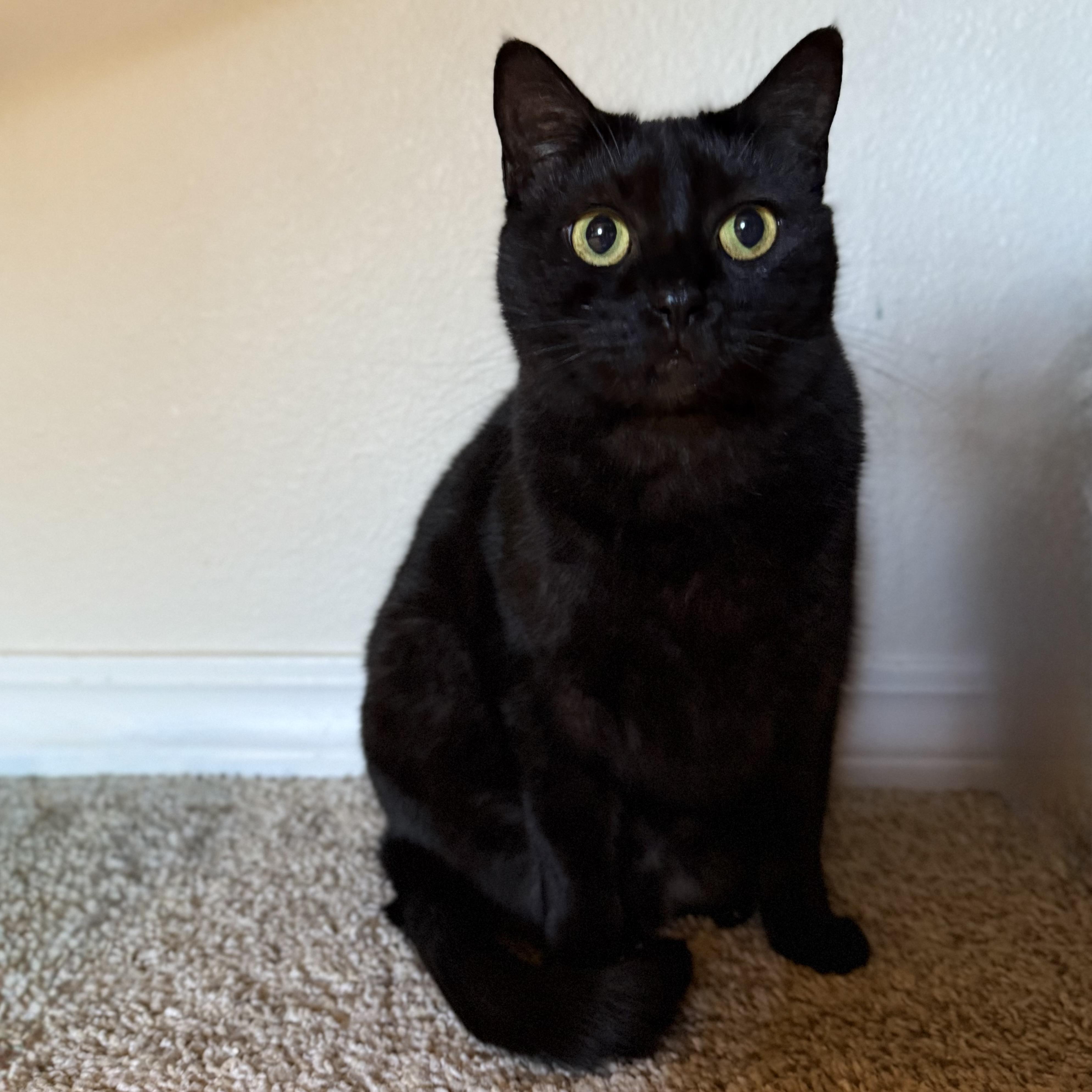 Kat *so much love to give*