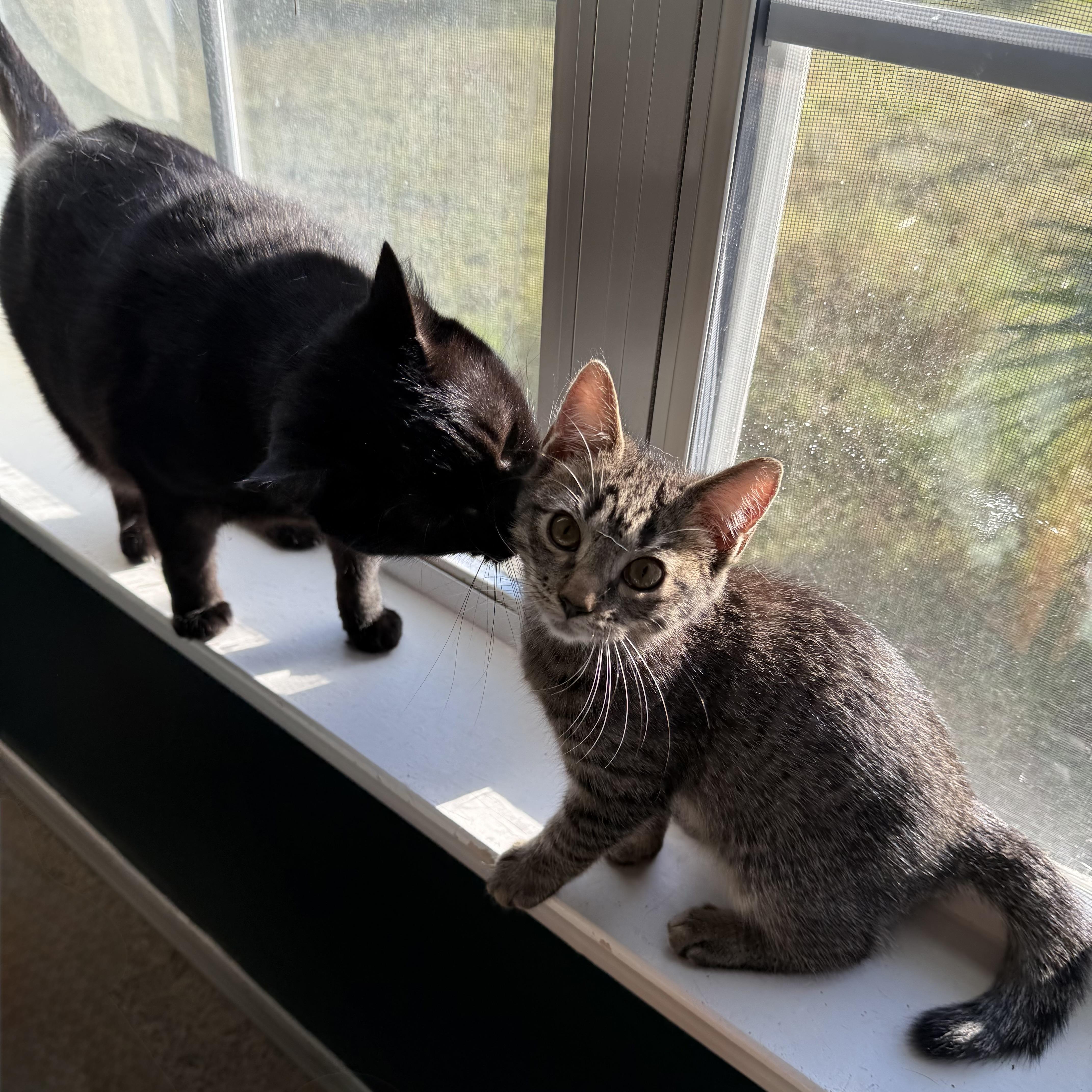 Kat *so much love to give*