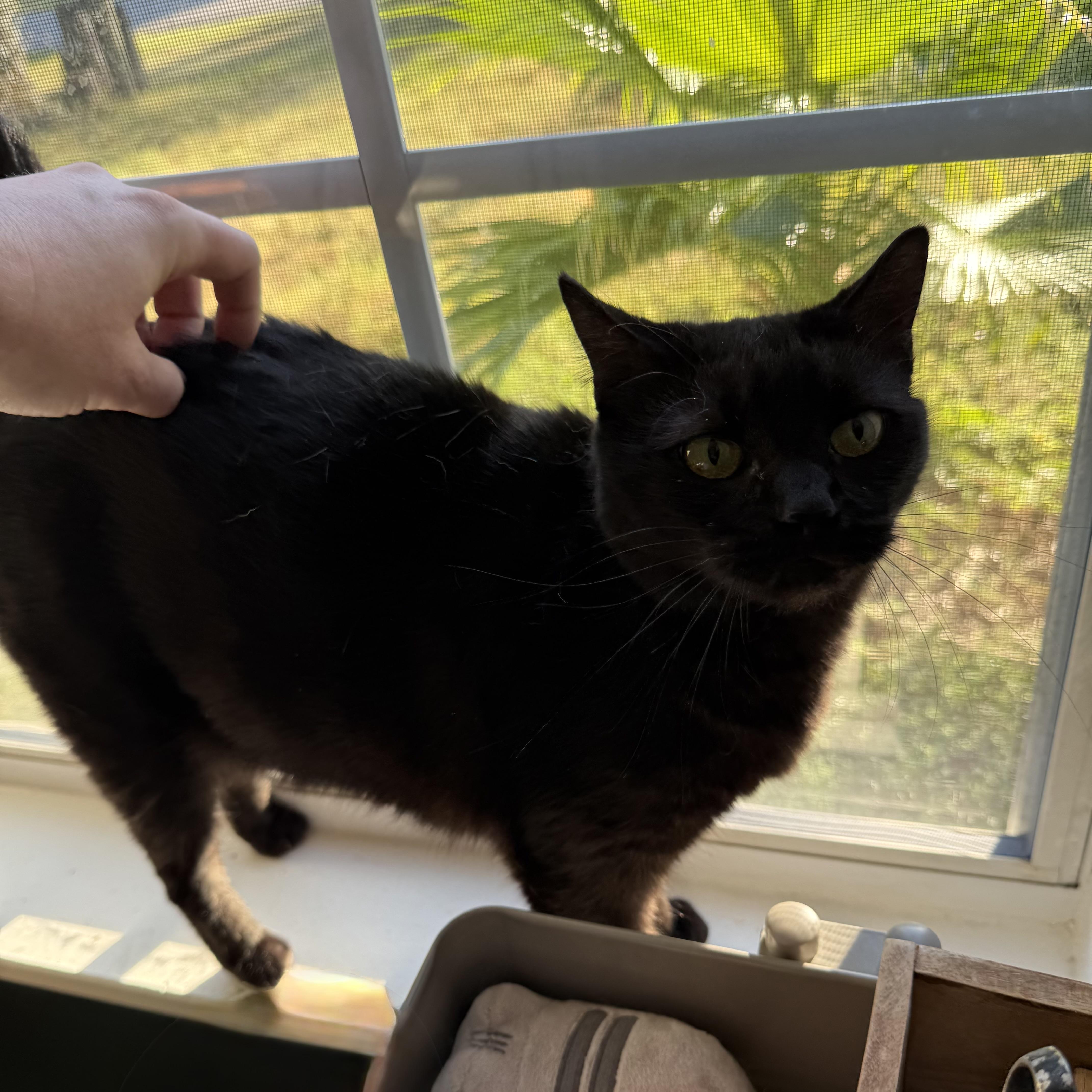 Kat *so much love to give*