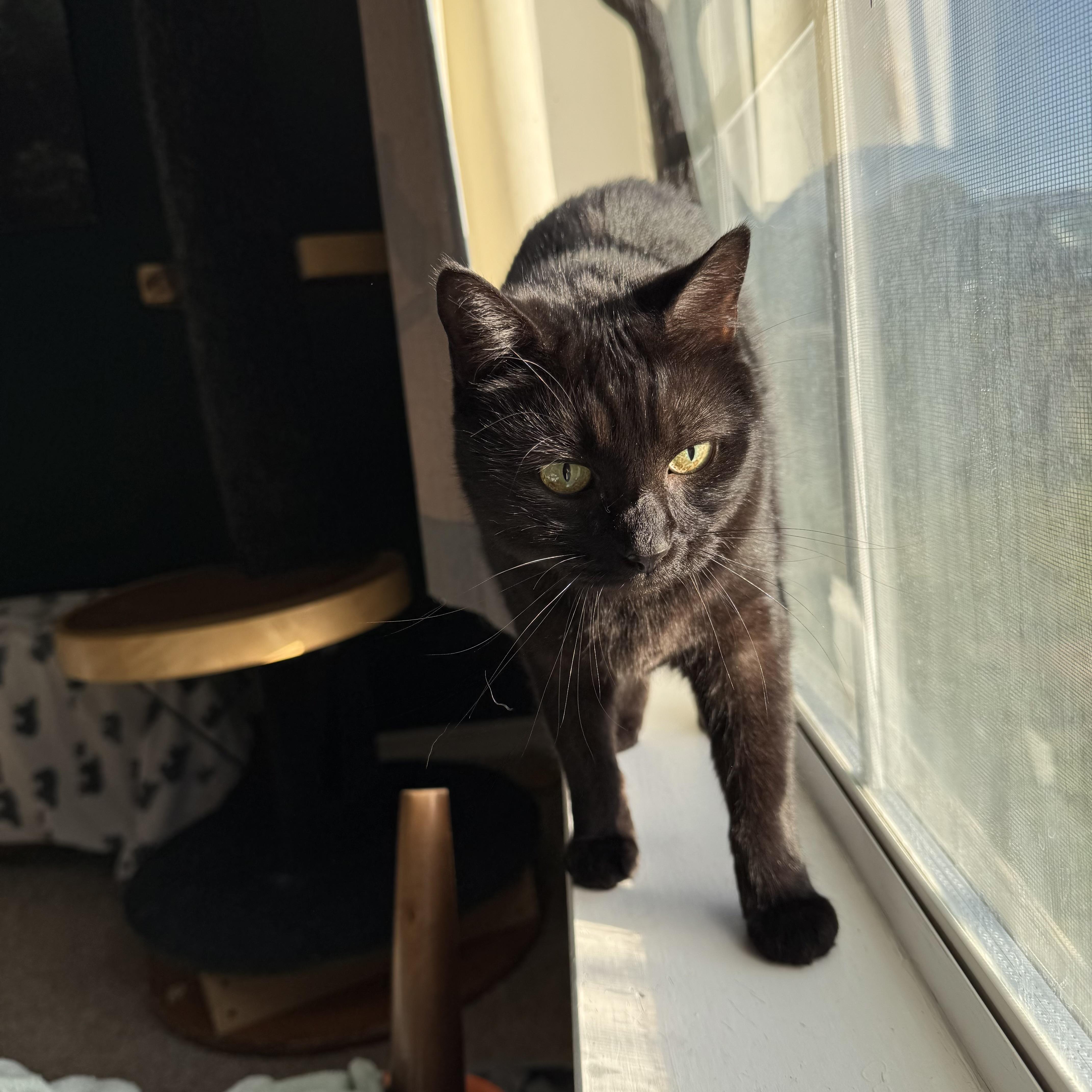 Kat *so much love to give*