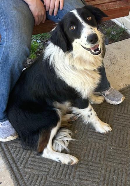 Talley Talent — thumbnail 2