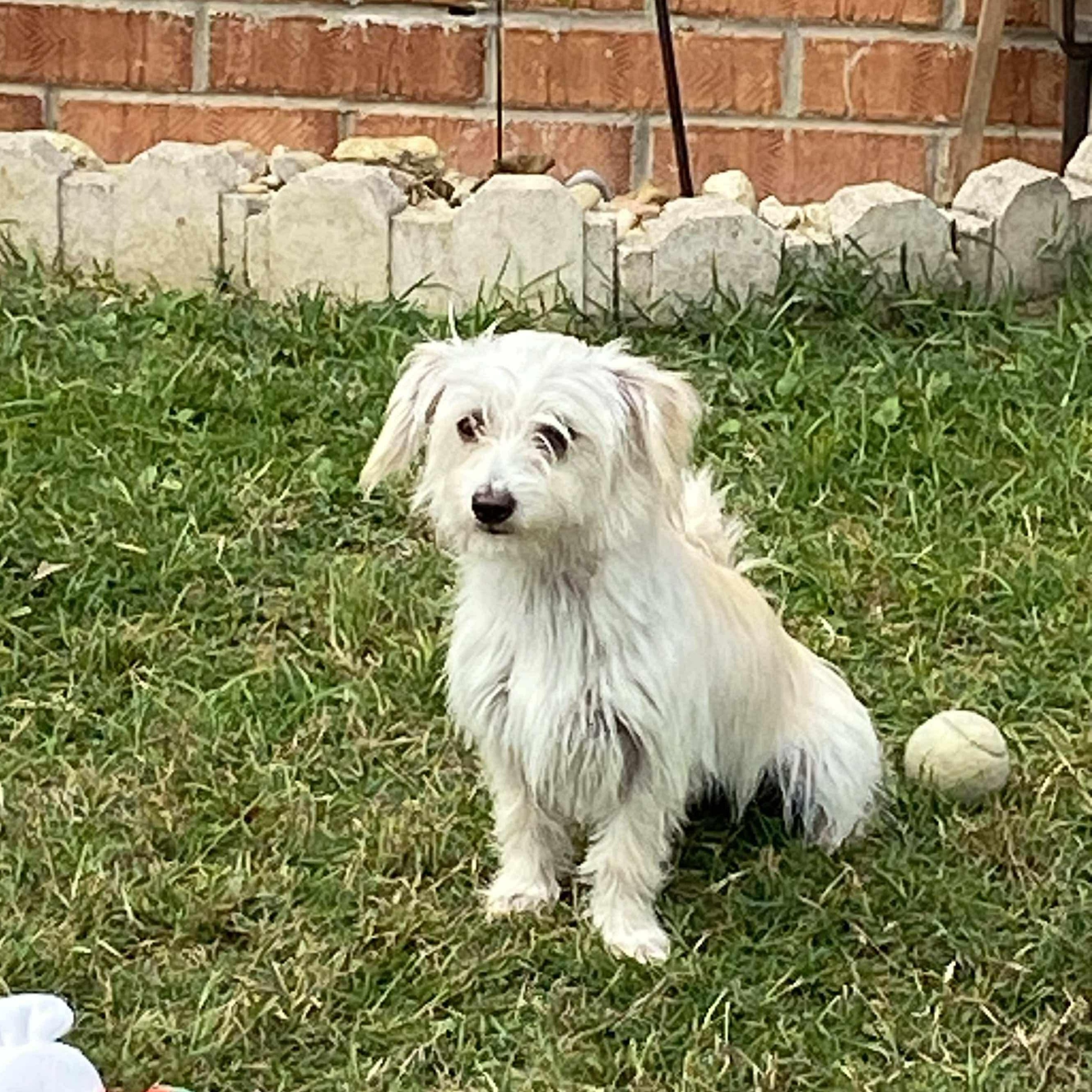 Gigi photo 2