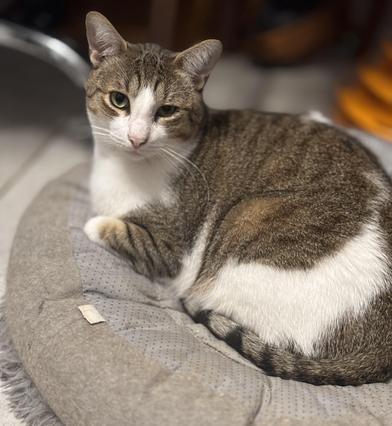 Julian — thumbnail 2